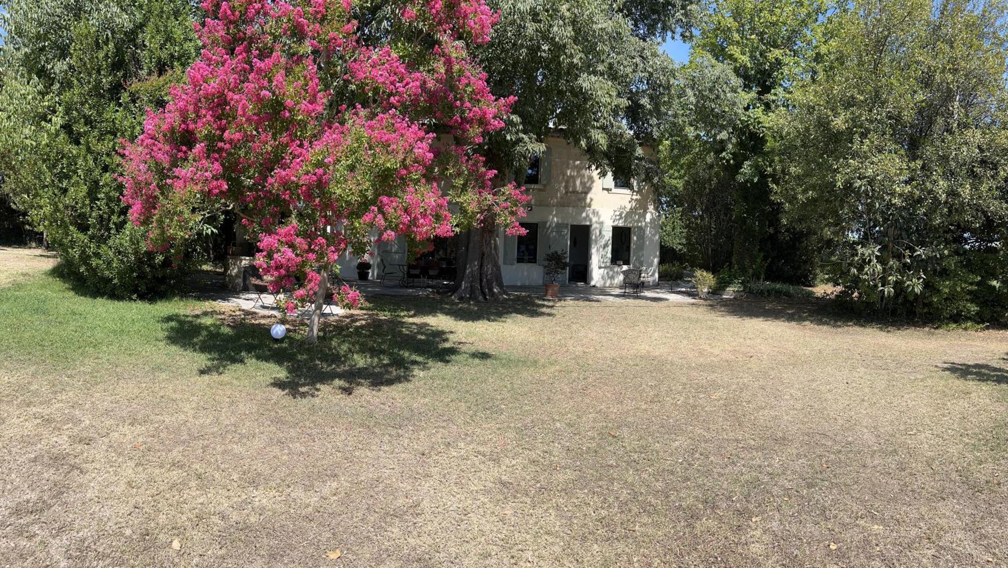 Alpilles Camargue Mas Falabrego Raphele Exterior photo